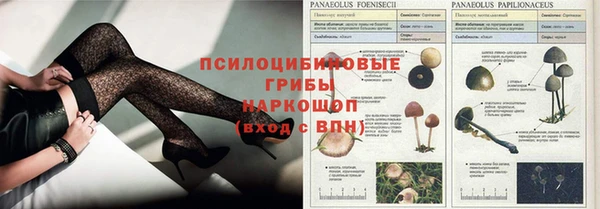 кокаин Гусиноозёрск