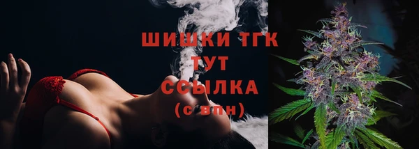 шишки Усинск