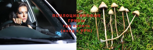 прущая мука Гусев